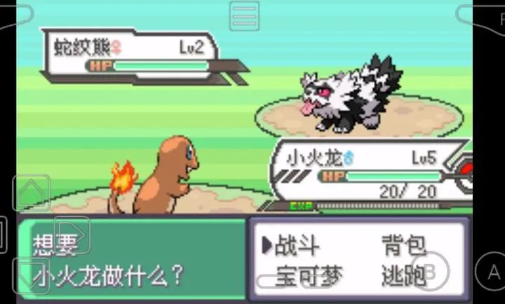 口袋妖怪圣光白汉化版