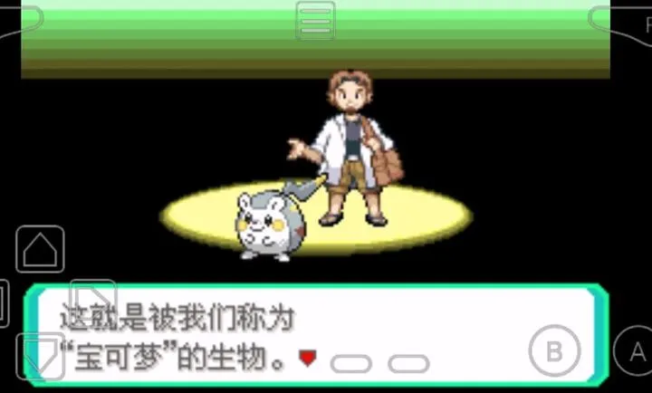 口袋妖怪圣光白汉化版